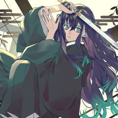 Tokito Muichiro 12